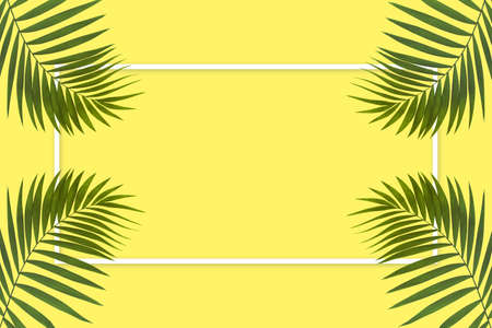 Exotic green tropical palm leaves isolated on yellow background with white geometric frame. Design for invitation cards, flyers. Abstract design templates for posters, covers, wallpapers with copyspace for text.の写真素材