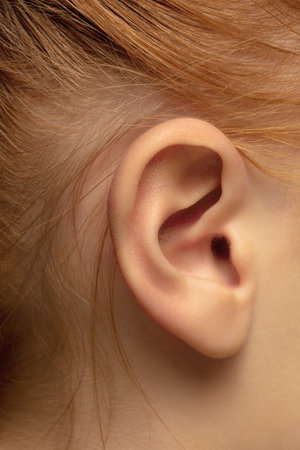 Ear. Close up portrait of beautiful redhair caucasian female model. Parts of face. Beauty, fashion, skincare, cosmetics, wellness concept. Copyspace. Well-kept skin, fresh look, details.の写真素材