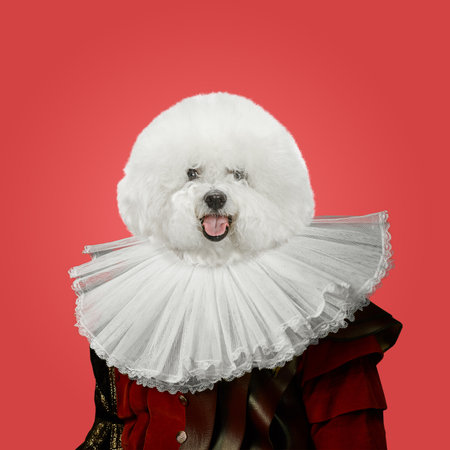 Model like medieval royalty person in vintage clothing headed by dog head on red background. Concept of comparison of eras, artwork, renaissance, baroque style. Creative collage.の写真素材