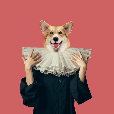 Model like medieval royalty person in vintage clothing headed by dog head on red background. Concept of comparison of eras, artwork, renaissance, baroque style. Creative collage.の写真素材
