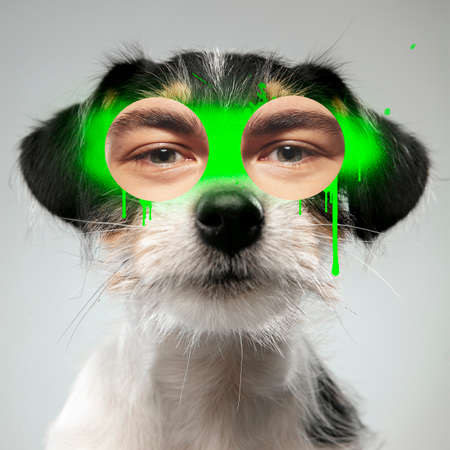 Contemporary artwork collage concept. Portrait of dog with human eyes, graffity style. Concept of modern design, surrealism, fun, creativity, inspiration. Funny image montage.の写真素材