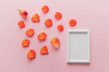 Flower's petals and white frame on pink background. Greeting card to Mother's, Parent's day. Beautiful floral mock up with copyspace. Celebrating, spring and summer mood, family concept. Feminine look.の写真素材