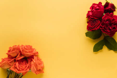 Red and coral roses flowers on yellow background. Greeting card to Mother's, Parent's day. Beautiful...