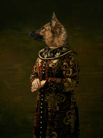 Model like medieval royalty person in vintage clothing headed by dog head on dark vintage background.の写真素材