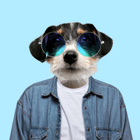Contemporary artwork, conceptual collage. Man headed by dog head. Trendy colors.の写真素材