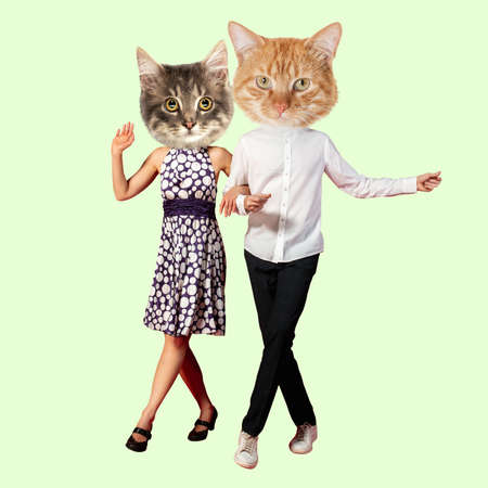 Modern design, contemporary art collage. Inspiration, idea, trendy urban magazine style. Couple headed with cat heads dancing isolated over light backgroundの写真素材