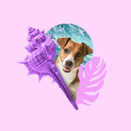 Contemporary art collage, modern design. Summertime mood. Sea shell and dog on light trendy...