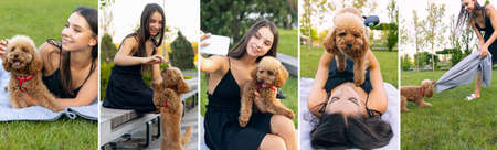 Young girl strolling with little golden poodle dog in public park, outdoors. Summer time. Sincere emotions. Leisure activities, healthy lifestyle conceptの写真素材