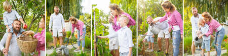 Young and happy family, farmers working at garden in sunny summer day. Man, woman and boy engaged in the cultivation of eco friendly products.の写真素材
