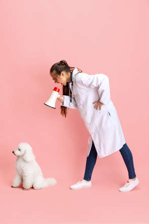 Conceptual portrait of young beautiful woman, veterinary with white poodle dog isolated over pink studio background. Pet care, animal in human everyday life.の写真素材