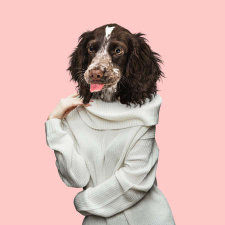 Contemporary artwork, conceptual collage. Mystery womanheaded by dog head. Trendy colors.の写真素材