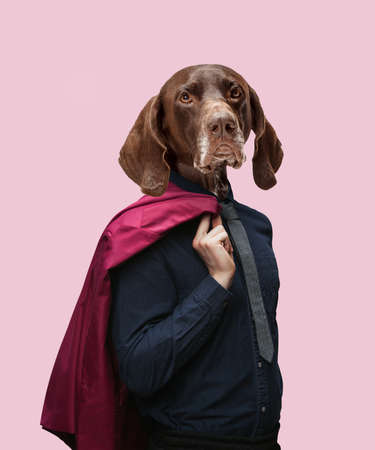 Contemporary artwork, conceptual collage. Man headed by dog head. Trendy colors.の写真素材