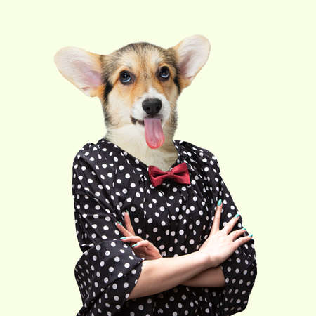 Contemporary artwork, conceptual collage. Business woman headed by dog head. Trendy colors.の写真素材