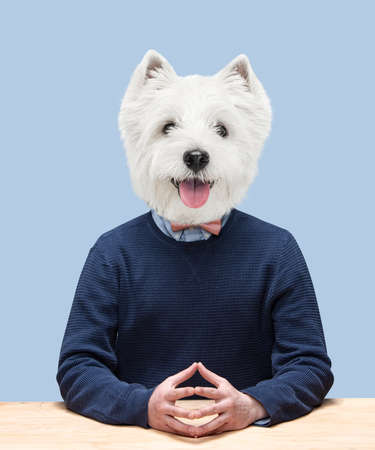 Contemporary artwork, conceptual collage. Man headed by dog head. Trendy colors.の写真素材