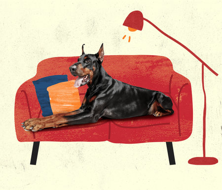 Contemporary art collage, modern creative design. Idea, inspiration, care, trend magazine style. Doberman dog resting on sofaの写真素材
