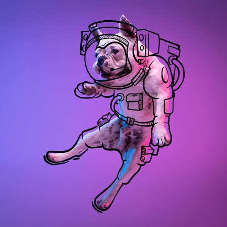 Modern artwork. One cute little dog, bulldog flying, jumping isolated on gradient neon pink blue studio background with drawings.の写真素材