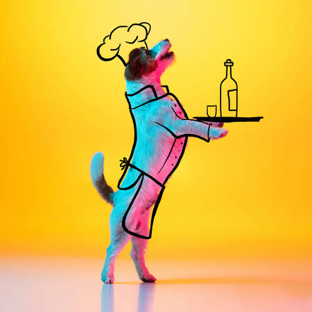 Portrait of cute little dog in image of waiter, cook at cafe isolated on yellow neon studio background with drawings.の写真素材