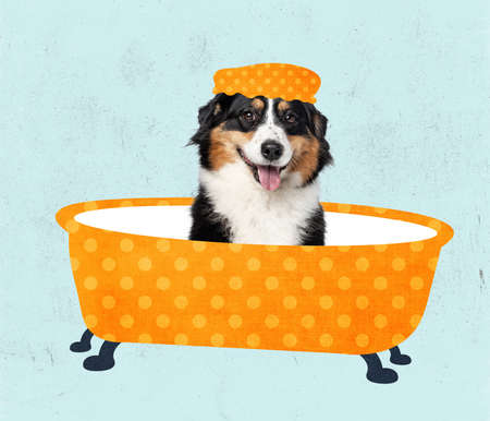 Contemporary art collage, modern creative design. Idea, inspiration, care, trend magazine style. Dog taking bathの写真素材