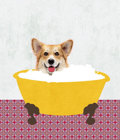 Contemporary art collage, modern creative design. Idea, inspiration, care, trend magazine style. Dog taking bathの写真素材