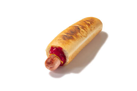 Studio shot of delicious hot dog with fried sausage and tomatoe sauce. American culture. Concept of worldwide national cuisinesの写真素材