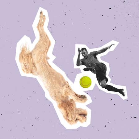 Contemporary art collage, modern design. Retro style. Minimalism. Young football player and dog, pet...
