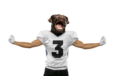 Contemporary artwork, conceptual collage. Sportive male professional football player headed by dogs...