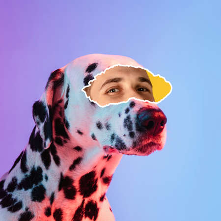 Contemporary art collage of Dalmatian dog with male eye element isolated over purple background in neon lightsの写真素材