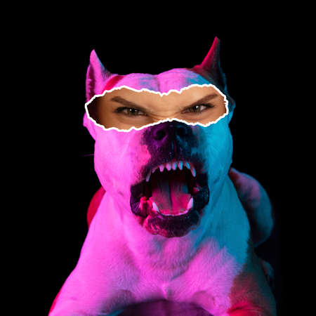 Contemporary art collage of dog with female eyes element isolated over black background in neon lights. Emotion of agerの写真素材