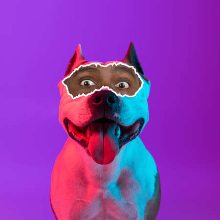 Contemporary art collage of dog with male, human eyes element isolated over gradient purple background in neon lights. Happy and excitedの写真素材