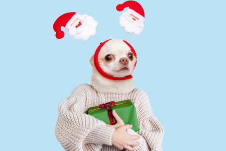 Contemporary artwork, conceptual collage. Young girl headed by cute dog head with gift box isolated on blue background. Surrealismの写真素材
