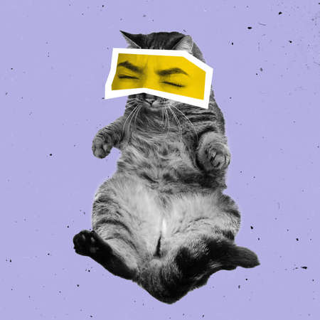 Contemporary art collage with black and white portrait of fluffy cat with male eyes isolated over lilac background.の写真素材