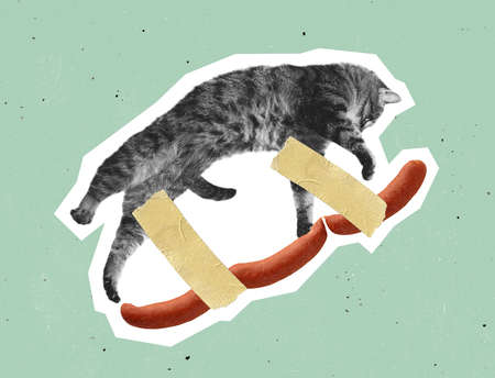 Modern design, contemporary art collage. Inspiration, idea, trendy urban magazine style. Cat and sausage glued with finger tapeの写真素材