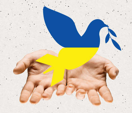 Contemporary art collage. Male hands holding dove covered in ukrainian flag colors symbolizing peaceの写真素材