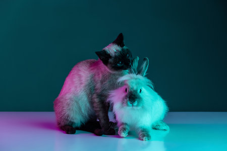 Friendship. Portrait of beautiful Thai cat and furry rabbit sitting together isolated on green background in neon light. Concept of domestic animal life, pets, actionの写真素材