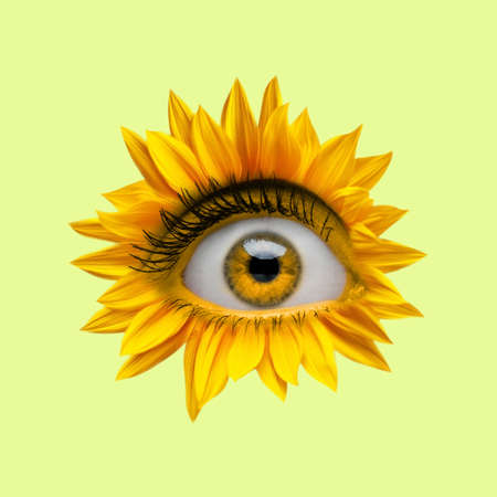 Yellow camomile flower with an eye inside it on bright background. Modern design. Contemporary art. Creative collage. Beauty, art, vision, fashionの写真素材