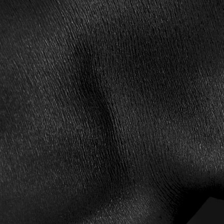Detailed texture of human skin. Close up part of african-american male body. Skincare, bodycare, healthcare, hygiene and medicine concept. Macro photographyの写真素材
