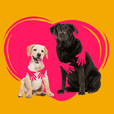 Contemporary art collage with two cute dogs that is hugged by drawn human hands against background...