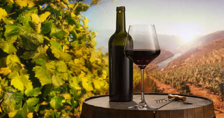 Design for card, magazine or brochure cover. Red wine glass and bottle on wooden barrel over nature...