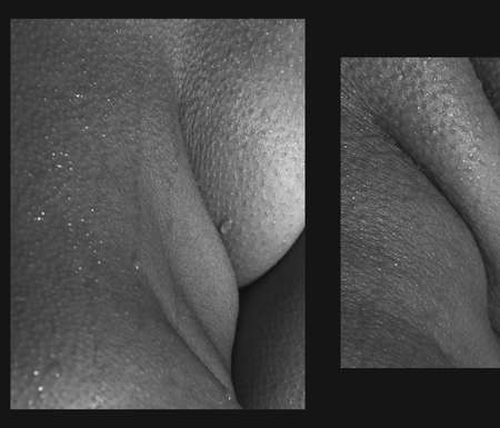 Preset with closeup images of part of female body. Detailed texture of human female skin. Skincare, bodycare, healthcare, hygiene and medicine concept. Art and beautyの写真素材