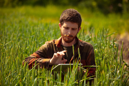 Digital technologies and agriculture. Young farmer analyzes wheat harvest using tablet at spring...