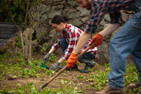 Young and happy farmers couple at their garden in sunny day. Man and woman engaged in the cultivation of eco friendly products. Concept of farming, agricultureの写真素材