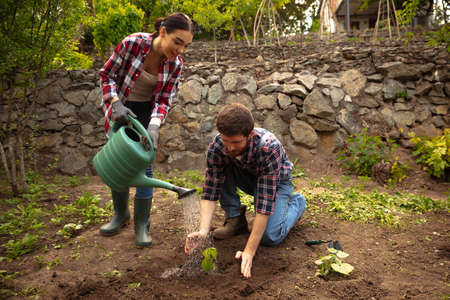 Young and happy farmers couple at their garden in sunny day. Man and woman engaged in the cultivation of eco friendly products. Concept of farming, agricultureの写真素材