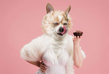 Sweets. Elegant beautiful female model wearing retro style outfit headed by cute dogs head isolated on pink background. Comparison of art, surrealism, beauty and creativityの写真素材
