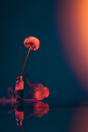 Mirage, vision. Creative floral composition, alone dandelion in vase over dark background in neon light. Concept of floristry, decorations, creativity, decorの素材 [FY310187563190]