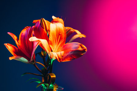 Different flowers, adorable floral composition isolated over blue background in pink neon light. Concept of floristry, decorations, creativity, decor and adの写真素材