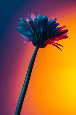Closeup shot of one flowers over dark background in neon light. Concept of floristry, decorations,...