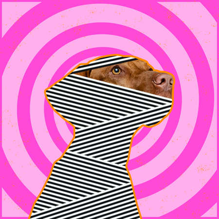 Contemporary art collage with dog silhouette like zombie isolated on optical illusion pattern background. Concept of creativity, art, imagination, animalの写真素材