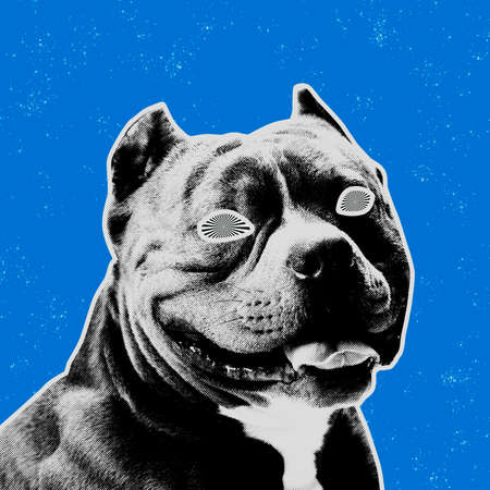Modern design. Contemporary art collage with cute dog. Inspirative art, pets, animal, style and...
