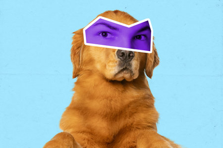 Creative collage with cute dog with male eyes expressing different emotions isolated over blue background. Magazine style. Animal look at modern lifestyleの写真素材