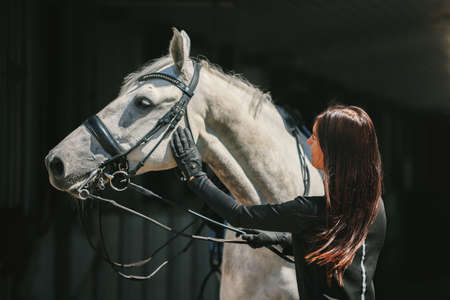 Young charming woman walking with white horse in summer warm day at country estate. Lifestyle mood....